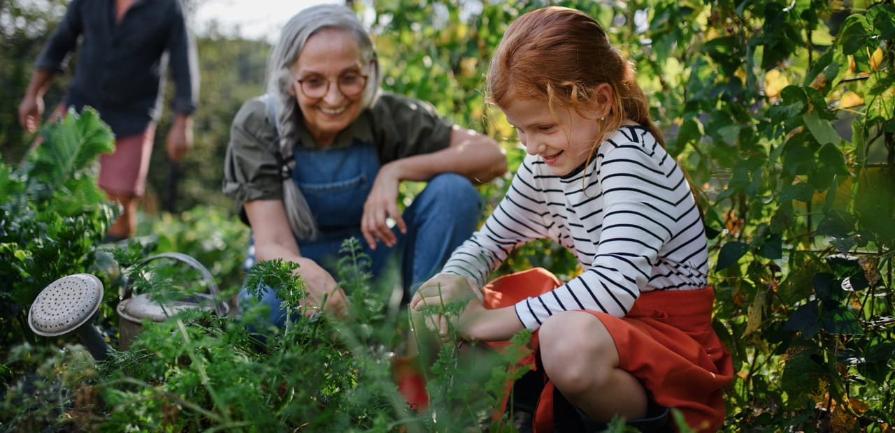 Grandparent and child gardening together in a family garden, symbolizing the sharing of financial literacy, values and stewardship across generations to help prepare heirs for the future.